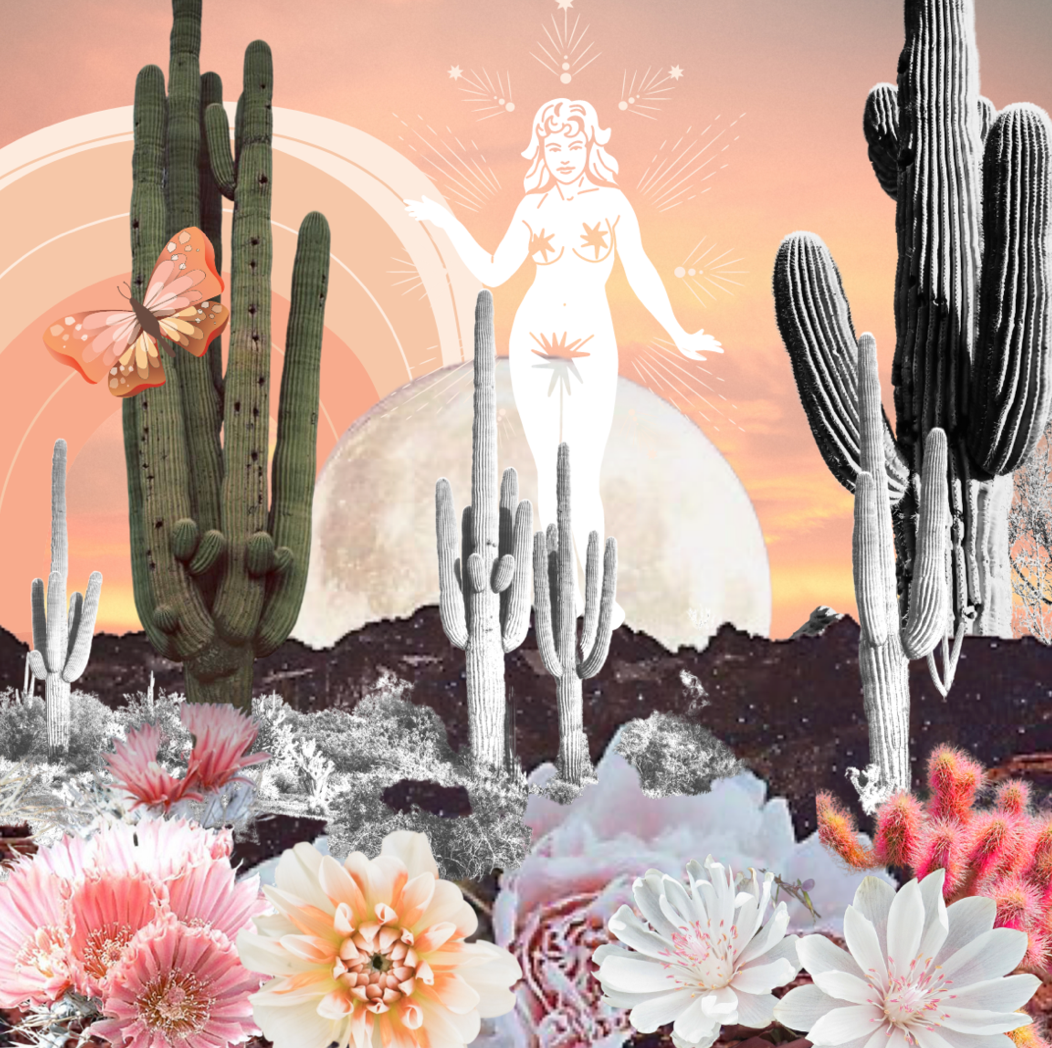 Wild Moon Collective Art- Desert Goddess